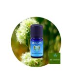 ae-mejorana-española