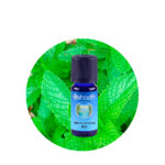 Aceite Esencial de Menta de Campo (Arvensis)