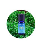 Aceite Esencial de Hierbabuena (Menta Nana)