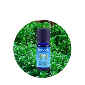 Aceite Esencial de Hierbabuena (Menta Nana)