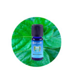 Aceite Esencial de Menta Piperita