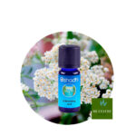 Aceite Esencial de Milenrrama azul