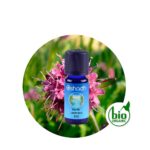 Aceite Esencial de Nardo Jatamansi