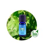 Aceite Esencial de Patchouli