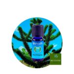 Aceite Esencial de Pino Patagonia