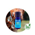 Aceite esencial de Pino, resina (Trementina)