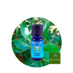 Aceite Esencial de Ravensara Aromática