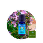 Aceite Esencial de Romero (Verbenone)