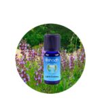 Aceite Esencial de Salvia Esclarea