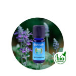 Aceite Esencial de Salvia española