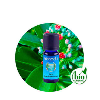 Aceite Esencial de Saro (Mandravasarotra)