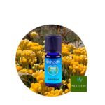 Aceite Esencial de Siempreviva