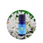 Aceite Esencial de Té de Labrador (Ledum)