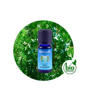 Aceite Esencial de Thuya Occidentalis