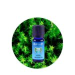 Aceite Esencial de Tomillo (Thuyanol)