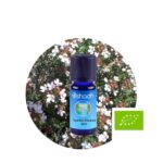 Aceite Esencial de Tomillo (Thymol)