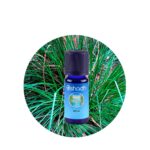 Aceite Esencial de Vetiver