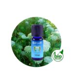 Aceite Esencial de Visnaga