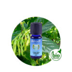 Aceite Esencial de Ylang Ylang (Completo)