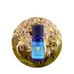 Aceite Esencial de Zanahoria (Semillas)