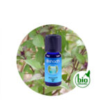 Aceite Esencial de Albahaca sagrada (Tulsi)