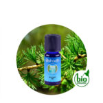 Aceite Esencial de Alerce (Agujas)