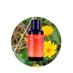 Macerado de Caléndula 10 % (en a.v. Almendras dulces)