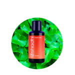 Macerado de Centella Asiática 10 %(en a.v. Girasol)