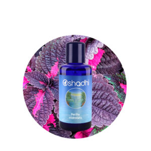 Hidrolato de Perilla