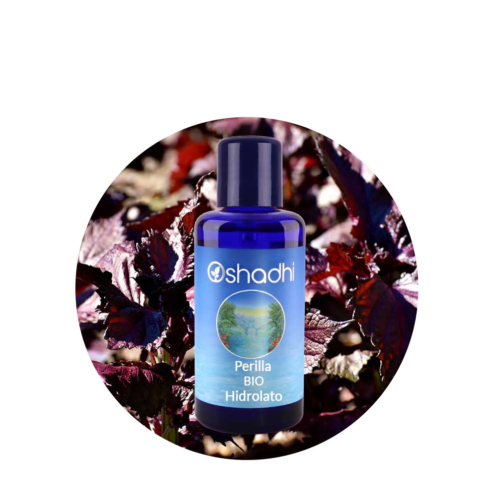 Hidrolato de Perilla Hidrolato de Perilla