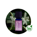 Perfume Jojoba de Jazmín