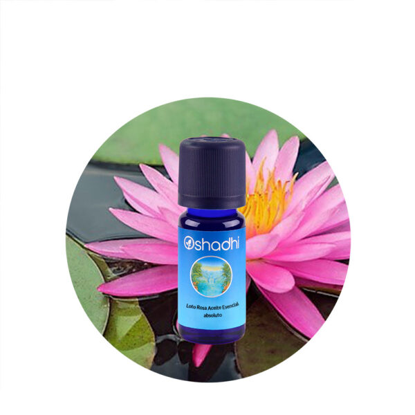 Aceite Esencial absoluto de Loto Rosa Aceite Esencial absoluto de Loto Rosa