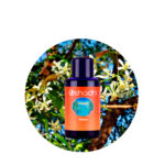 Aceite Vegetal de Neem