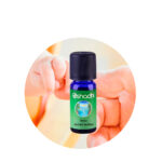 Sinergia Bebé dulces sueños