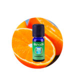 Sinergia Concentración