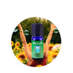 Sinergia Espíritu de la Alegria