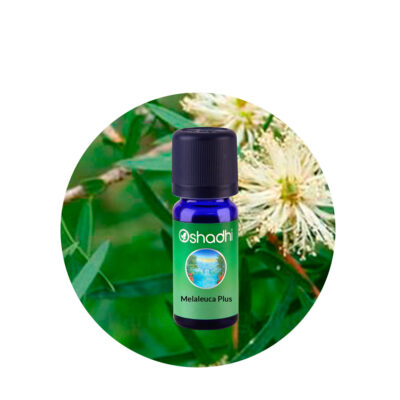 sin-melaleuca-plus