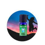 Sinergia Momento sin Tiempo