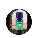 Sinergia Reina de Saba