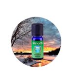 Sinergia Rescate de Invierno