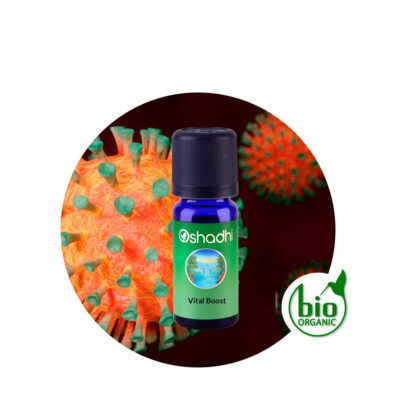 Sinergia Vital Boost