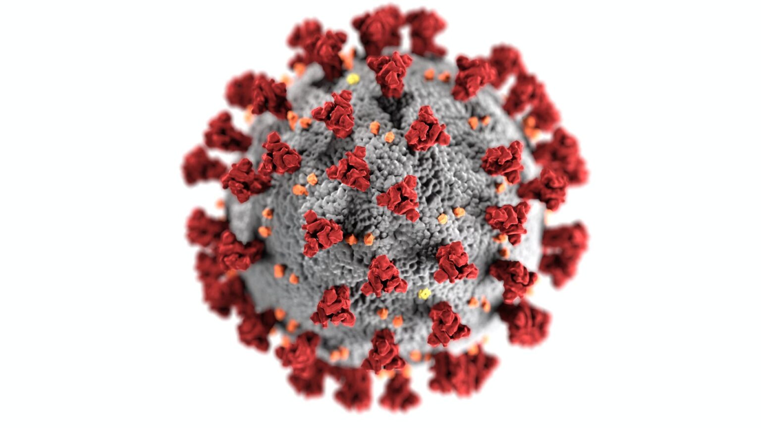 virus-2-1536x864
