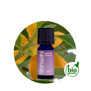 Perfume Jojoba de Champaca