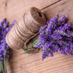 Bundle of lavender flowers on wooden background