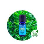 Aceite Esencial de Ravintsara BIO