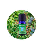 Sinergia Alta Provenza