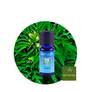 Aceite esencial de Davana