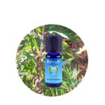 Aceite Esencial de Artemisa Annua