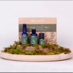 Estuche Forest Walk (un paseo por el bosque)