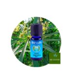 Aceite Esencial de Nagarmota